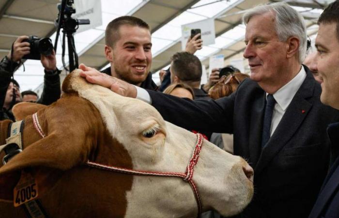 Michel Barnier says he is “open” to other solutions than postponing the revaluation of retirement pensions