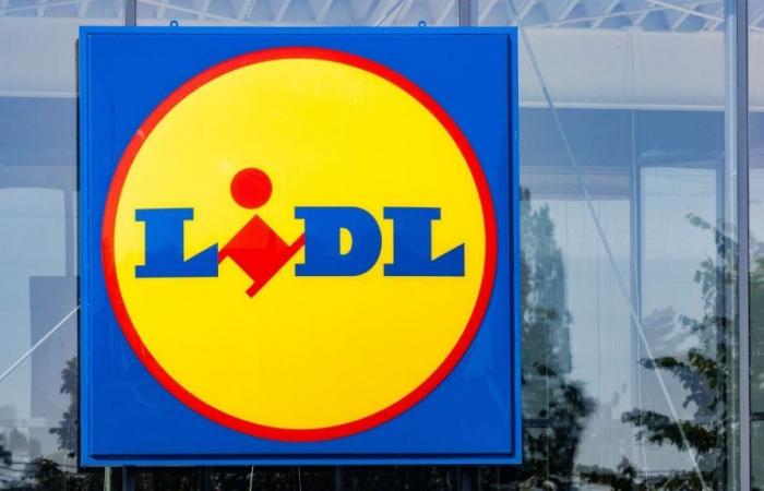 “I am a former LIDL employee and here is the best time to pay even less for your groceries”