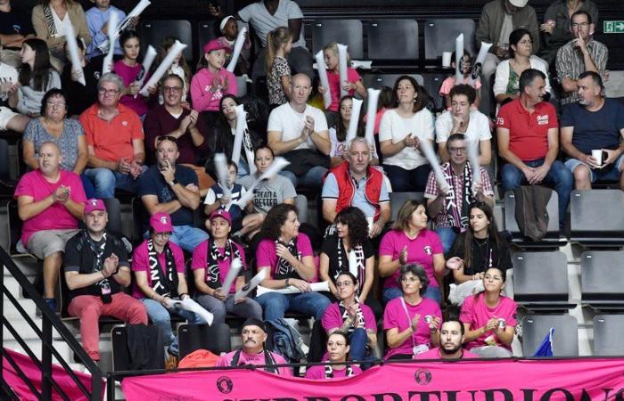 Professional volleyball which resumes this Saturday in Narbonne is full of new features this season