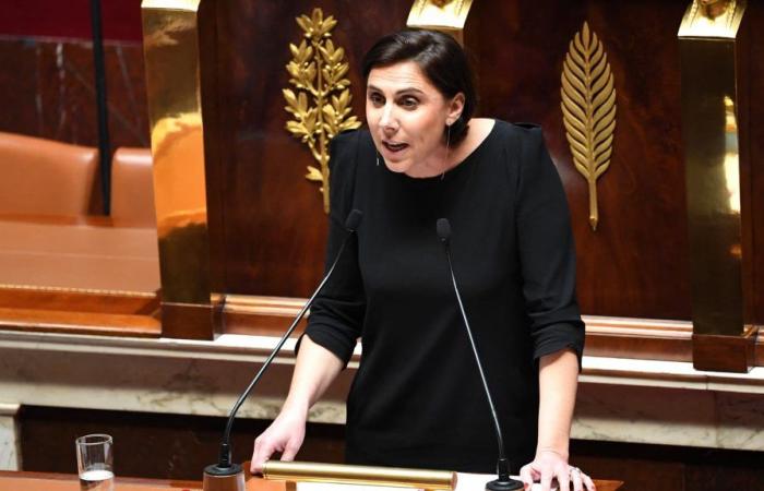 Laure Lavalette separates from her parliamentary assistant after the discovery of hateful tweets