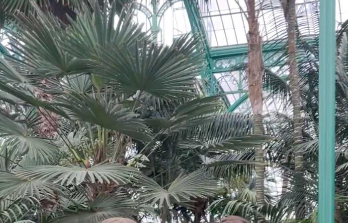 Prince Emmanuel poses in the Royal Greenhouses for his 19th birthday