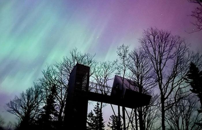 News | You could see the Northern Lights in the coming days in Quebec