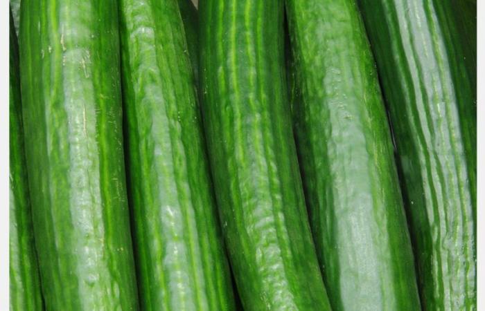 “A well-oriented market during the summer” for cucumbers according to Agreste