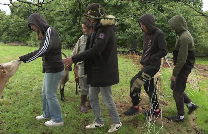 An immersive day discovering agricultural professions