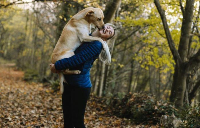 Animal Day: Give your pet some extra attention today