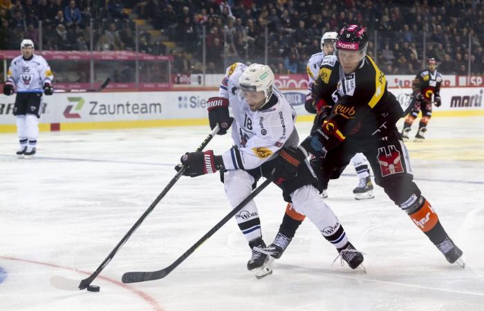 SCB Fribourg Gotteron: Bern defeated Freiburg 6:3