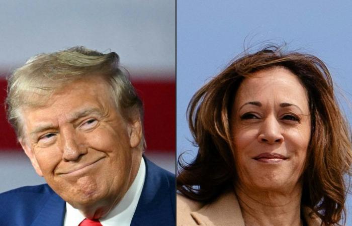 Harris and Trump in key states