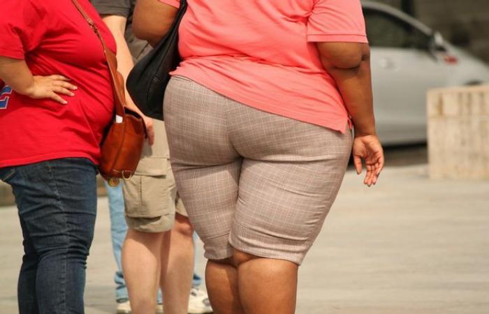 More than one in five inhabitants is obese in Charente: why this scourge is gaining ground