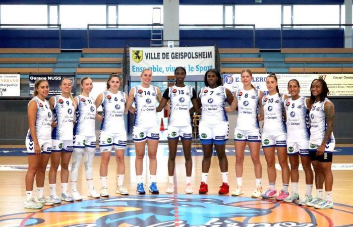 NF1 group A: Limoges and Le Poinçonnet must resume at home, Geispolsheim wants to continue – Postup.fr