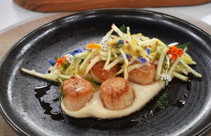 Pan-fried scallops on celeriac puree, fresh apple and herb salad