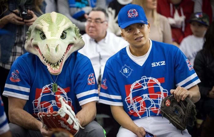 [QUIZ] Who are these Quebec stars with dinosaur heads?