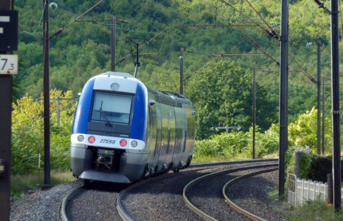 young man dies after being hit by train