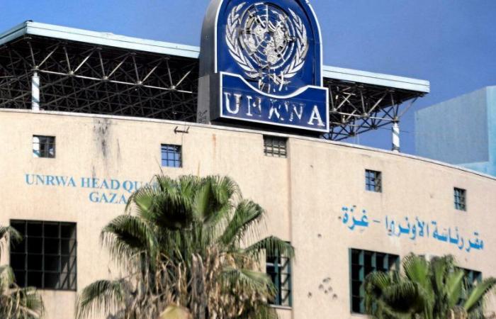 Unrwa in the running for the 2024 Nobel Peace Prize: “And why not Khamenei? »