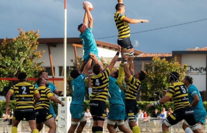 Rugby: the Landes derby between Dax and Mont-de-Marsan will be played well in Bayonne