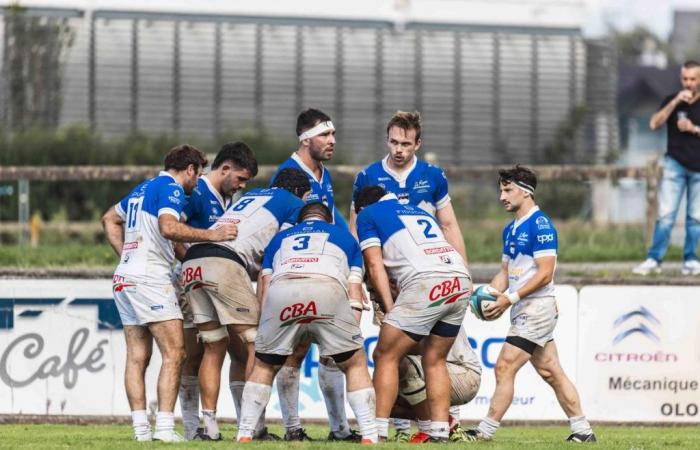 Rugby – Federal 1: Oloron goes hunting in Gironde