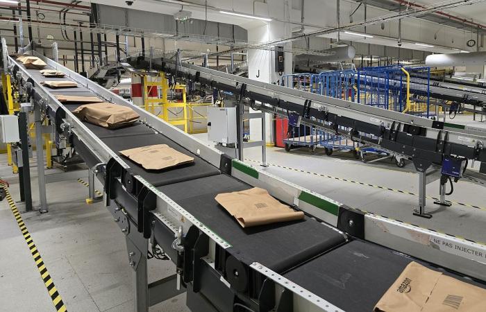 Your Amazon orders are prepared by robots, we went to see how it works