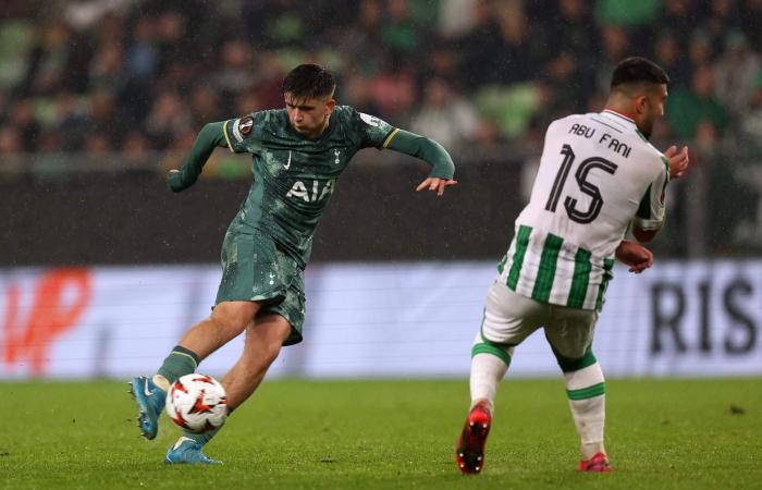 Ferencvaros 1 Tottenham 2: Selection satisfaction, Moore excels, and where should Gray play?