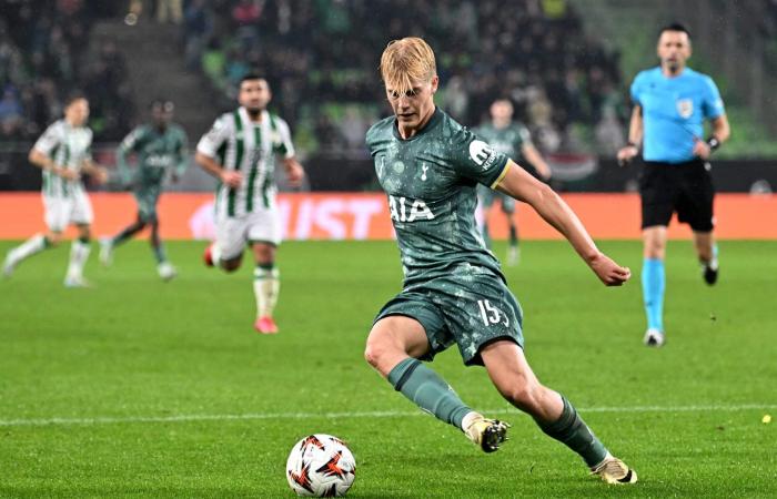 Ferencvaros 1 Tottenham 2: Selection satisfaction, Moore excels, and where should Gray play?