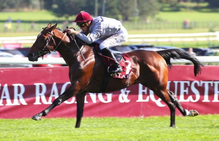 Sunday Longchamp Qatar Arabian World Cup Al Ghadeer aims for double