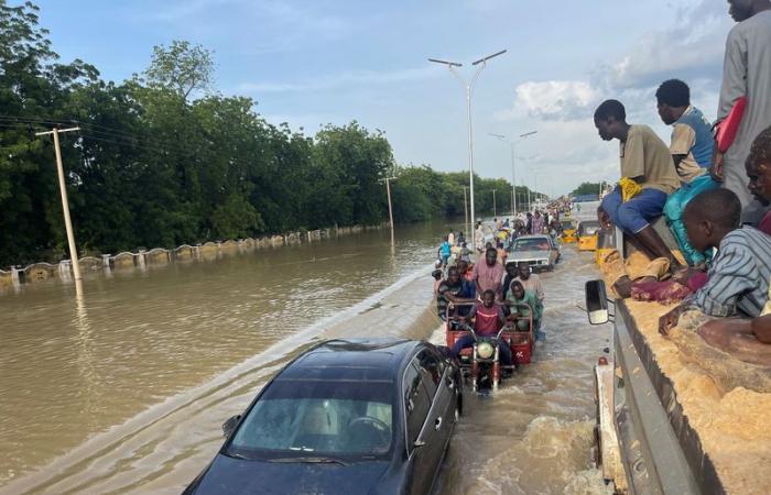 Borno State in Nigeria hit by cholera following floods