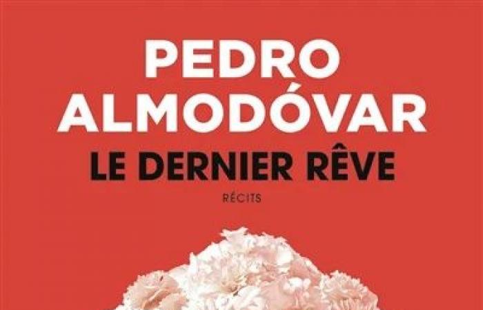 The Last Dream, by Pedro Almodóvar | The humility of a giant