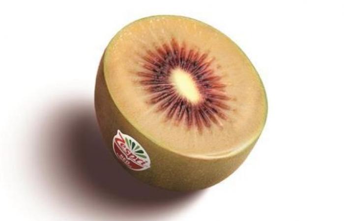 A new variety of red kiwi with berry notes emerges on the markets – AgriMaroc.ma