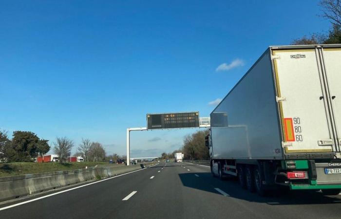 “We will paralyze the territory”: snail operation of transporters in Alsace on Monday against the heavy goods vehicle tax