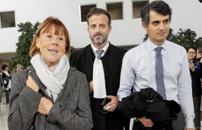 Mazan trial: “We must show everything! Look at the rape, straight in the eye!” proclaim Gisèle Pelicot’s lawyers