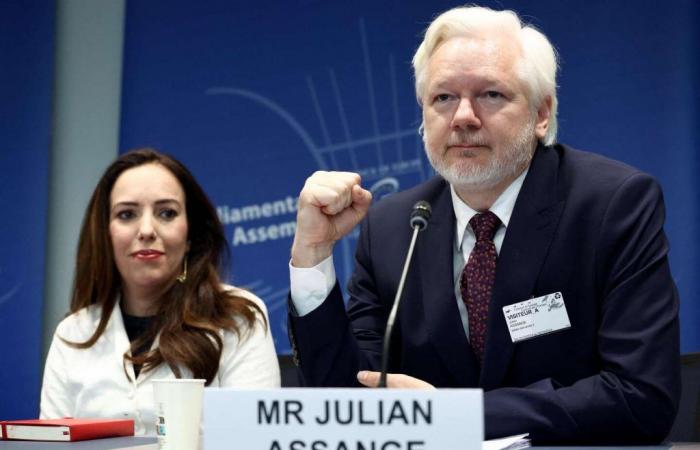 “I pleaded guilty to carrying out journalism,” says Julian Assange to the Council of Europe