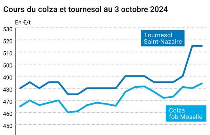 COTidienne | Oilseeds – Fall in soybean prices and increase in rapeseed prices on world markets