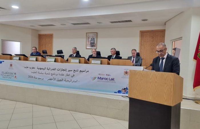 Artificial insemination: with the Ain Jemâa center, this is how Maroc Lait intends to boost the dairy sector