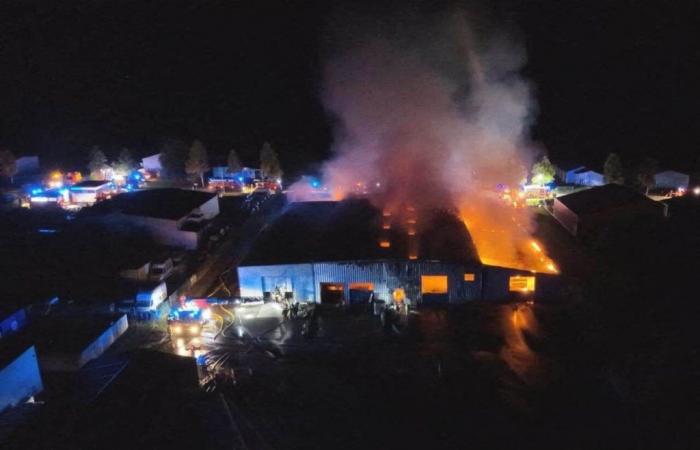 Sleeve. A violent fire in a 3,300 m2 warehouse, 90 firefighters mobilized