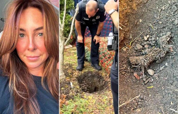 Woman Discovers Rug Buried in Lawn, Internet Thinks It’s a Body (Exclusive)