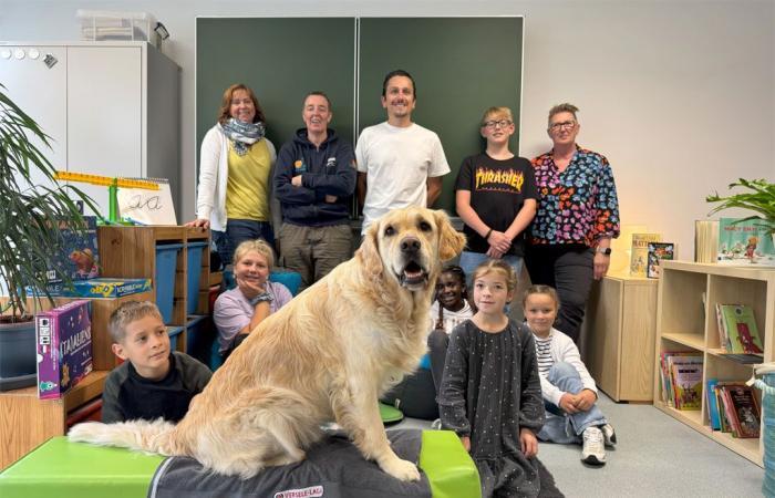 World Animal Day: school dog Barry has a positive influence on children