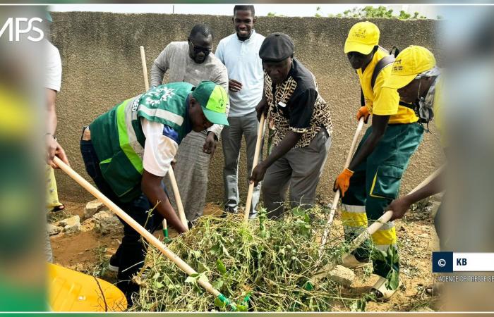 SENEGAL-ENVIRONNEMENT-EDUCATION / Back to school: nearly 800 schools sanitized in Dakar and the regions – Senegalese press agency