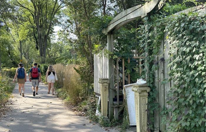 The Toronto Islands in full Transformation