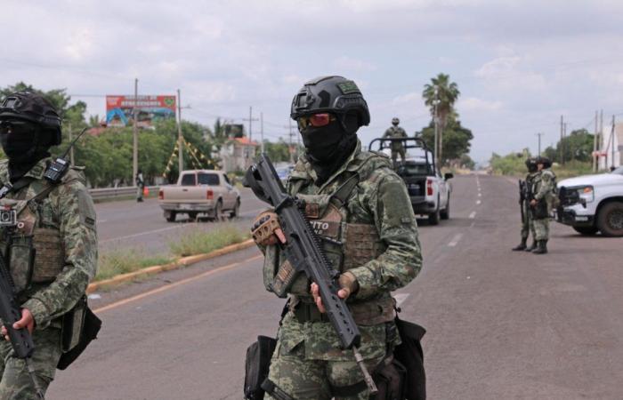 Mexico: five bodies found in the northwest, 150 dead in one month