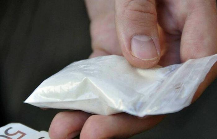 Two couples from Loire-Atlantique convicted of cocaine trafficking