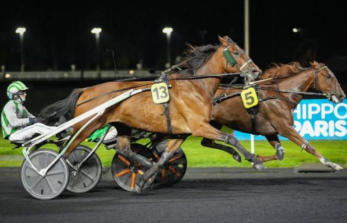 PMU – Arrival of the quinté on Friday October 4 at Paris-Vincennes: Ibiscus Man in the style of the forts