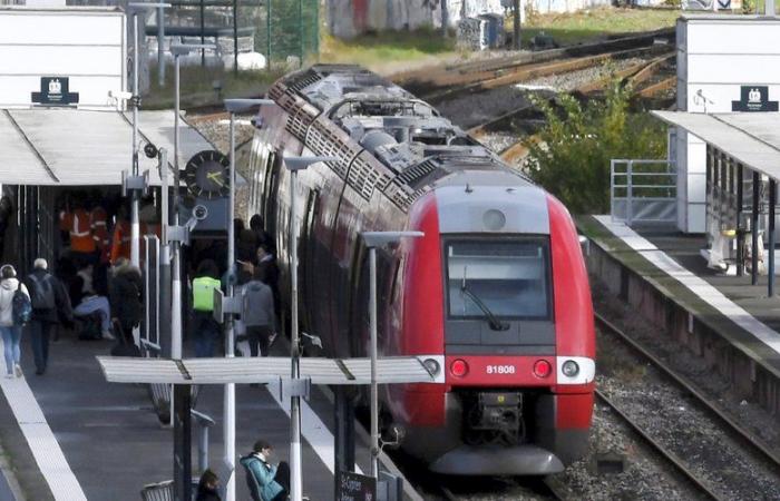 Haute-Garonne: after an act of vandalism, SNCF traffic severely disrupted to the south and west of Toulouse