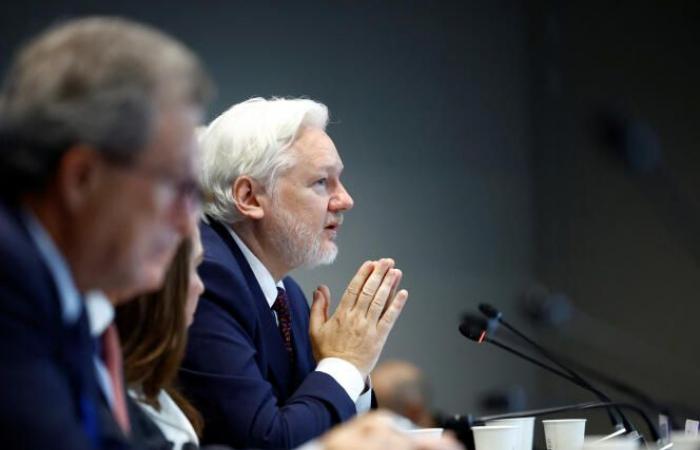 “I pleaded guilty to carrying out journalism,” says Julian Assange to the Council of Europe