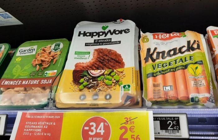 New setback for France, “prohibited from banning” the term “vegetable steak” by European justice