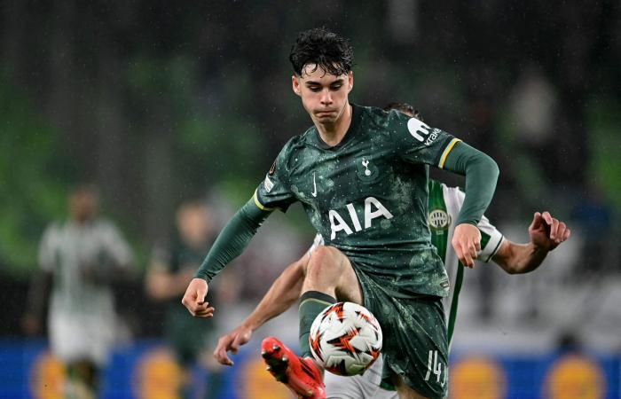 Ferencvaros 1 Tottenham 2: Selection satisfaction, Moore excels, and where should Gray play?