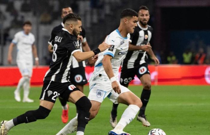 Soccer. Ligue 1. Angers-SCO stands up to Marseille (1-1)