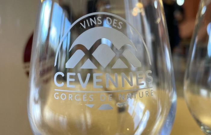 GARD Vignes Réboussières to bring the region to life