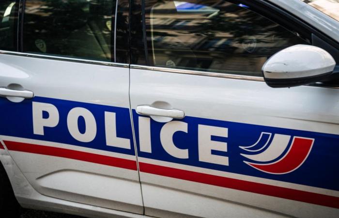 A 16-year-old teenager on the run after stabbing his mother and 2-year-old brother in Yvelines