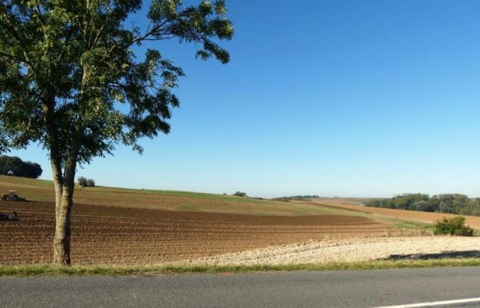 A young woman of 20, from Dizy-le-Gros, killed in an accident in Aisne