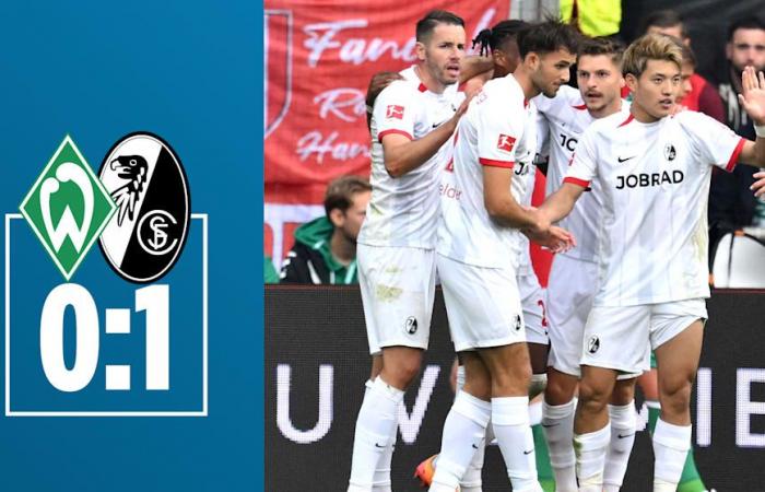 Bundesliga: Bayer Leverkusen – Mysterious appearance in the 2-2 draw against Kiel | sport