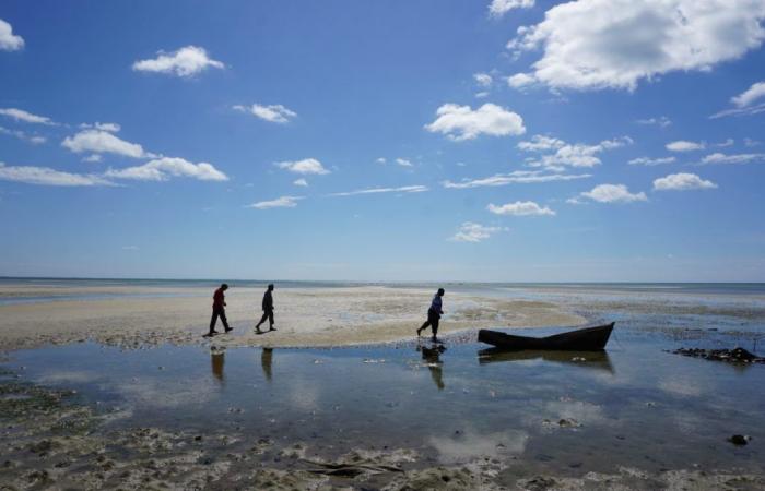 NGOs call for official investigation following reports of series of atrocities committed by Mozambican security forces at TotalEnergies’ Mozambique LNG project