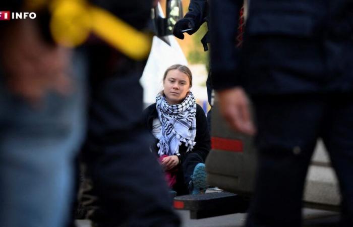 Belgium: Greta Thunberg arrested during a demonstration against fossil fuel subsidies